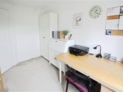 Picture 23
